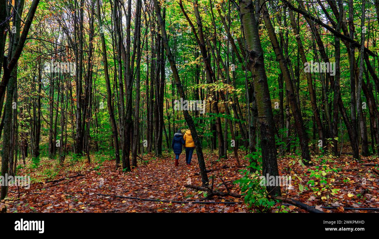 Escursioni di coppia in mezzo al vivace fogliame autunnale su un sentiero Foto Stock