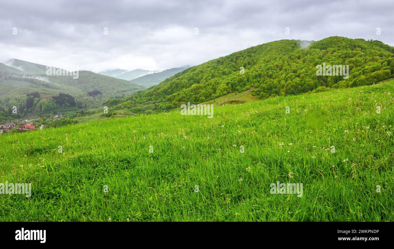 paesaggio rurale dei carpazi in primavera. campagna montuosa dell'ucraina con colline boscose e prati verdi in una giornata di pioggia Foto Stock