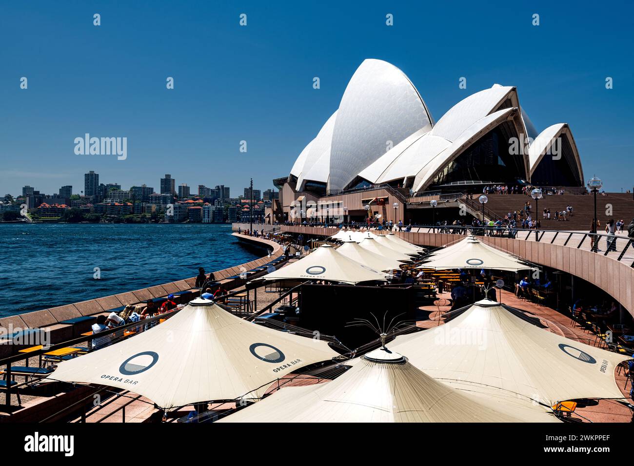 Famosa Opera House e Bar nel porto di Sydney. Foto Stock