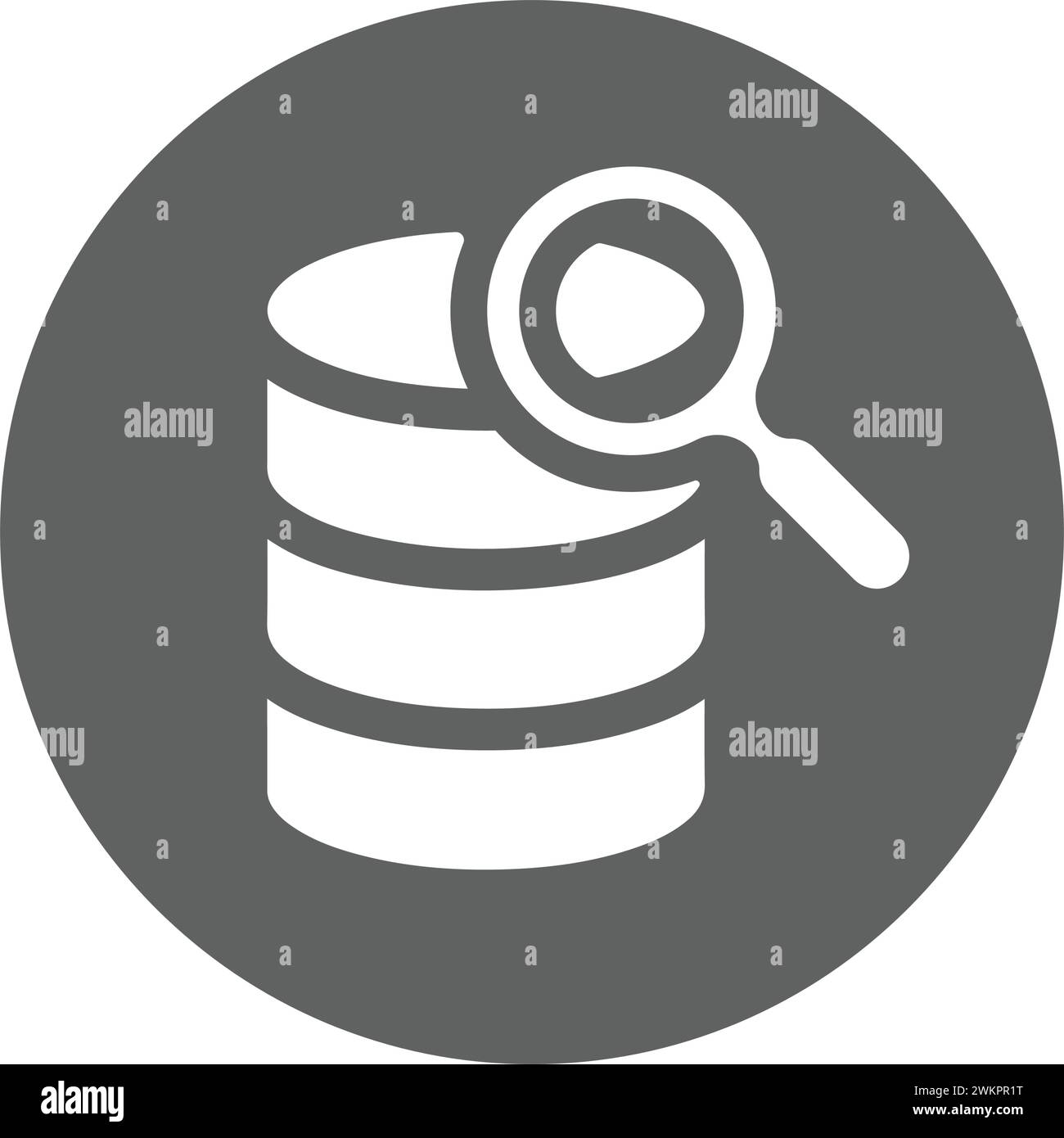 Icona del database di ricerca - ideale per la stampa di file e presentazioni, la progettazione e lo sviluppo di siti Web, materiali promozionali, illustrazioni o altro Illustrazione Vettoriale