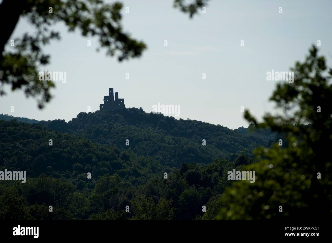 Rovine del castello, castello infestato dai fantasmi in una foresta buia profonda tra Murlo e Casciano, Toscana, Italia Foto Stock