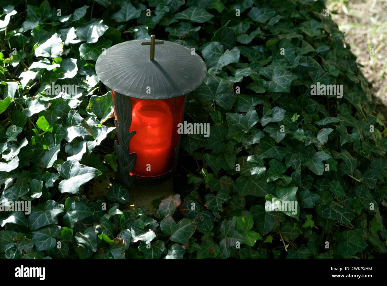 luce rossa su una tomba coperta di edera Foto Stock