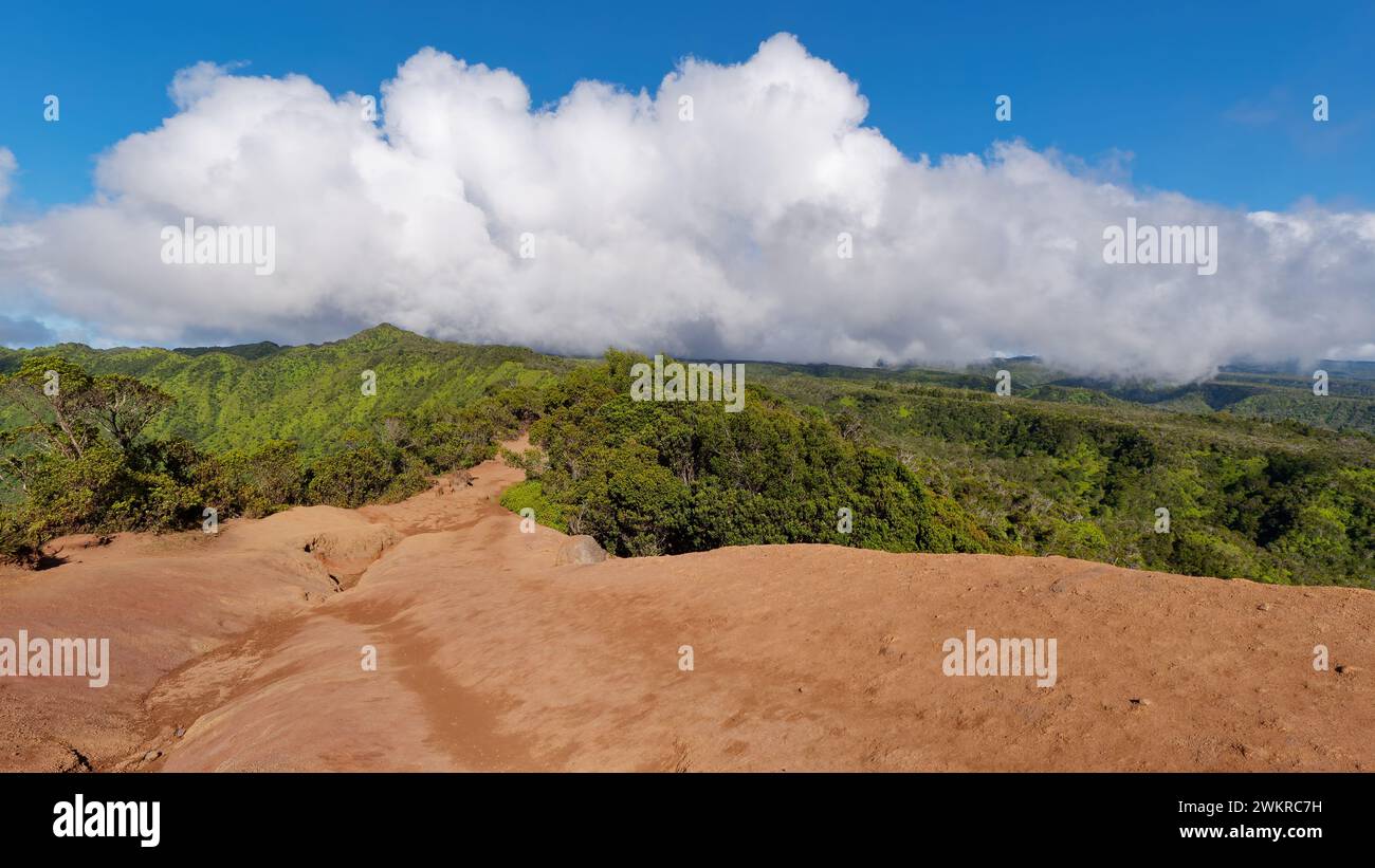 Un percorso panoramico nel Kokee State Park, Kauai, Hawaii, Stati Uniti. Foto Stock