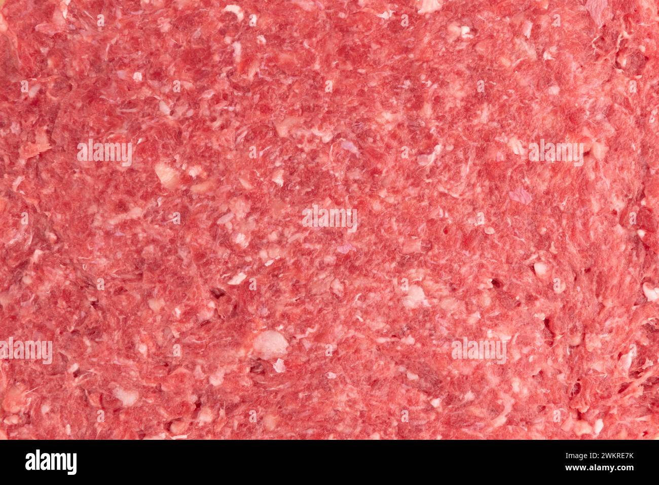 sfondo della carne macinata cruda, consistenza della carne di maiale e di manzo fresca, prestazioni per lasagne o polpette Foto Stock