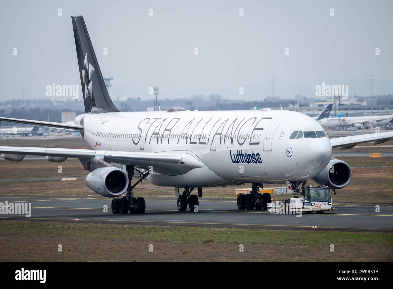 Ein Airbus A 340-300 der Star Alliance Lufthansa Dinslaken wird zum Terminal geschleppt, am Frankfurter Flughafen Fraport 21.02.2024 a Francoforte, *** un Airbus A 340 300 di Star Alliance Lufthansa Dinslaken è trainato al terminal, presso l'Aeroporto di Francoforte Fraport 21 02 2024 a Francoforte, Foto Stock