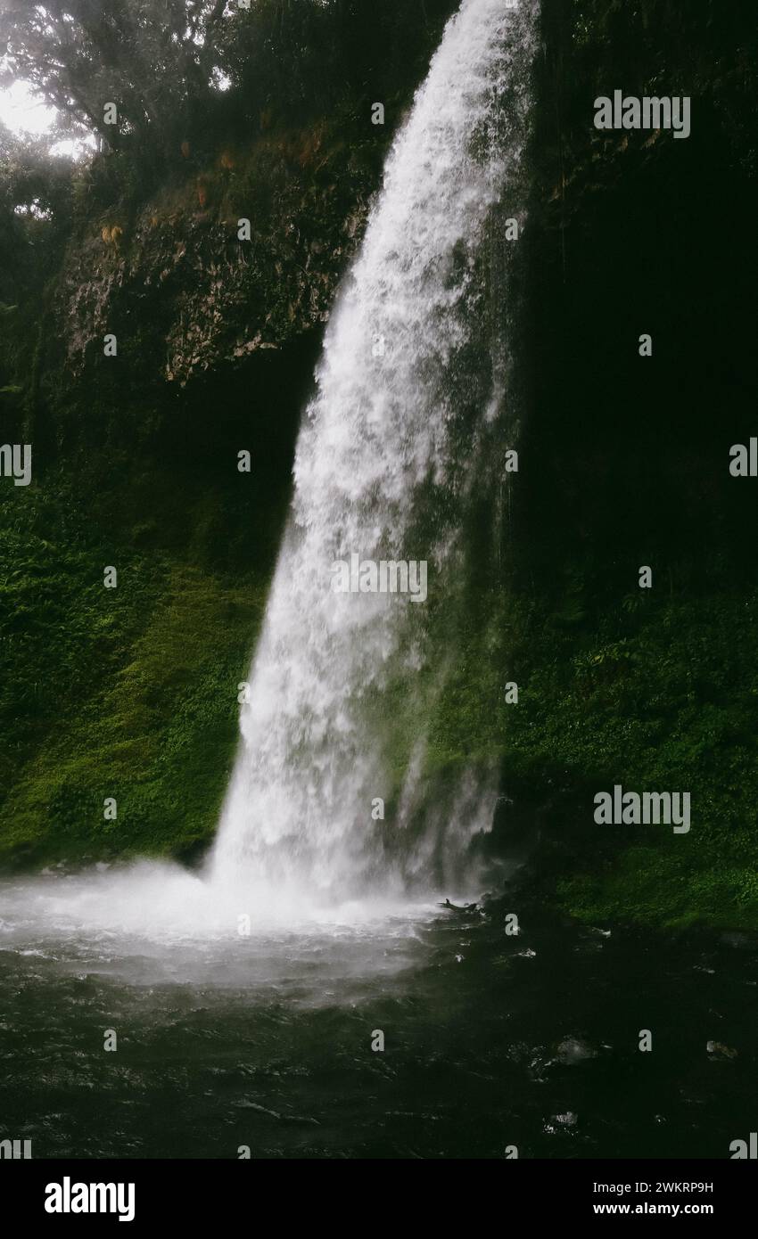 Una potente cascata forestale guidata da un fiume che scorre. Foto Stock