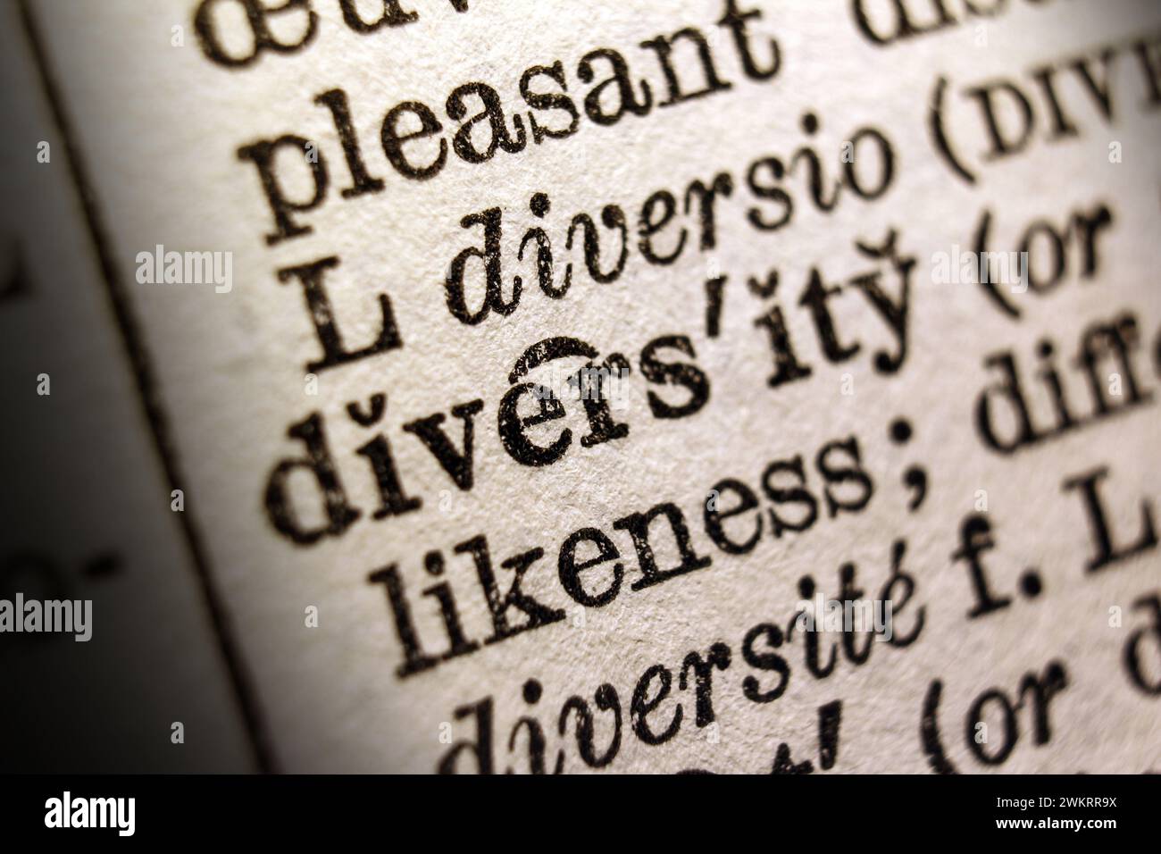 Definizione della diversità di parole sulla pagina del dizionario, primo piano Foto Stock