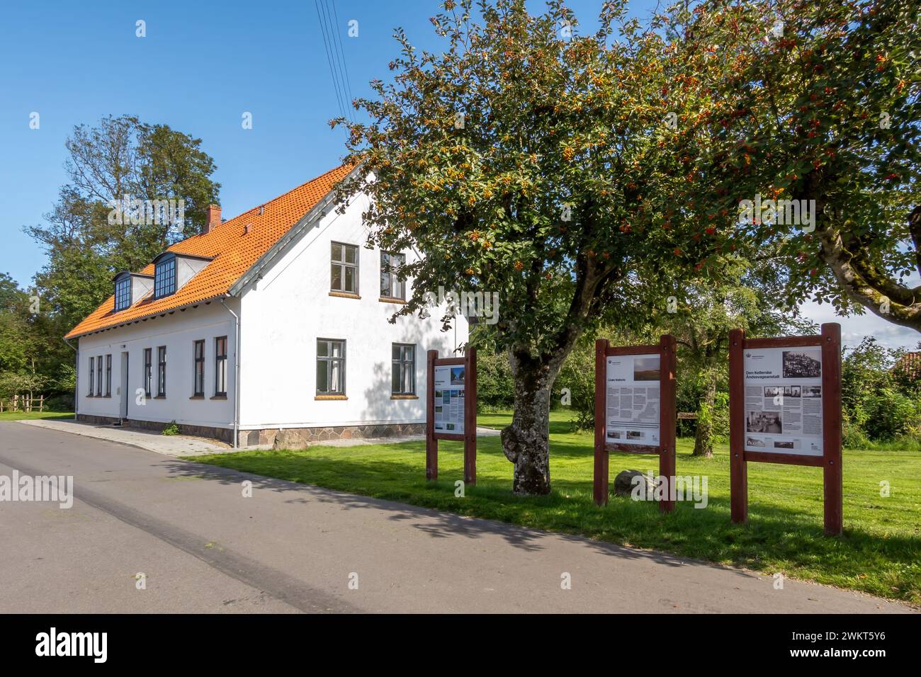 Scena di strada con casa vacanze sull'isola di Livo a Limfjord, Jutland settentrionale, Danimarca Foto Stock