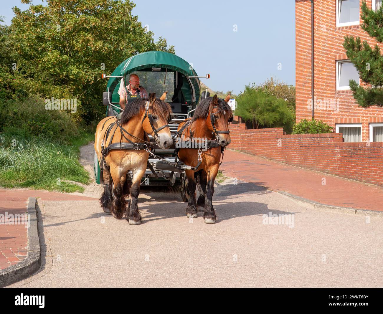 Carrozza trainata da cavalli sull'isola Juist, Frisia orientale, bassa Sassonia, Germania Foto Stock