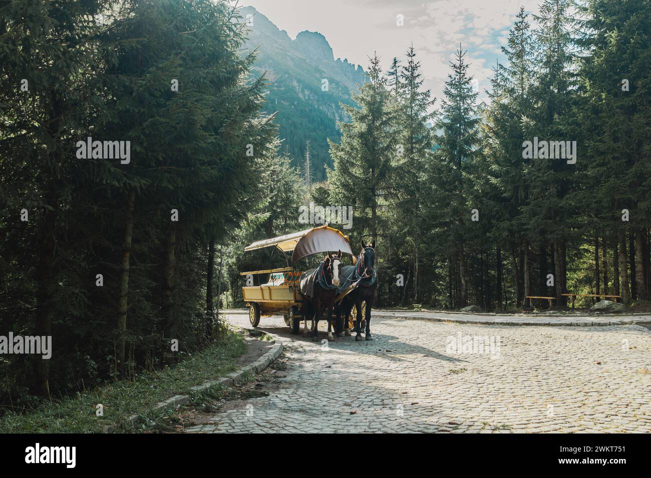 Parco nazionale dei Monti Tatra, Dolina Rybiego Potoku, Wlosienica vicino a Zakopane, giro in carretto a cavalli, trasporto al lago alpino Morskie Oko Foto Stock