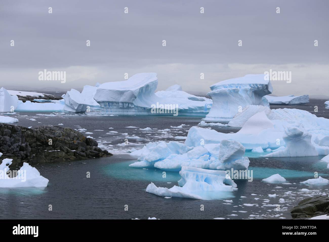 Piccoli iceberg galleggiano in Antartide Foto Stock