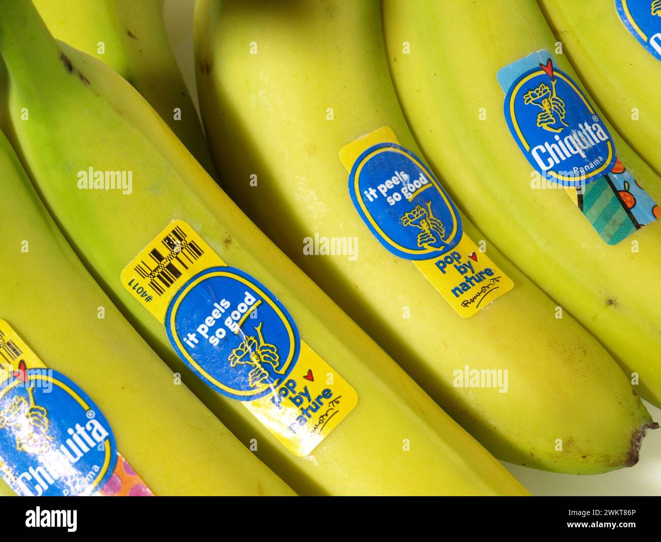 Logo e simbolo delle banane Chiquita Foto Stock