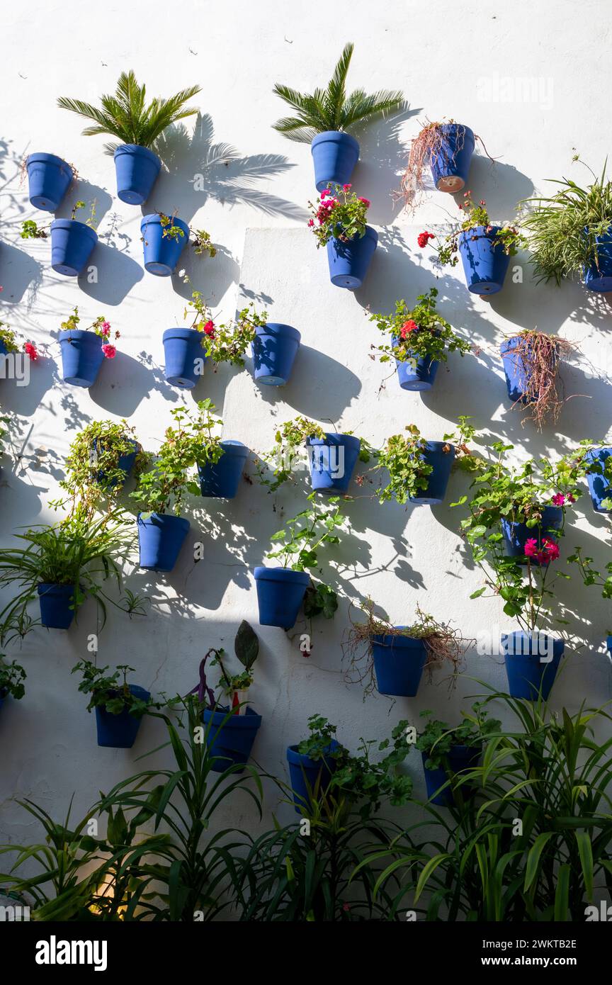 Un'esposizione murale di vasi di fiori pieni di giovani piante in un ristorante in un cortile interno, (Patio) in una stretta strada laterale nella storica città di Foto Stock