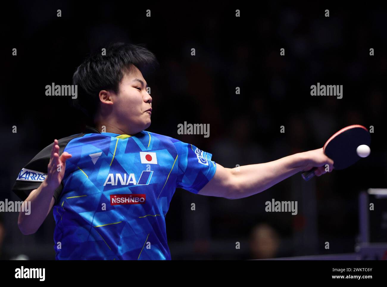 LETTO MATRIMONIALE IN Ferro Batt. Pelle Capitonne' Vera Foglia Argento - Foto 3