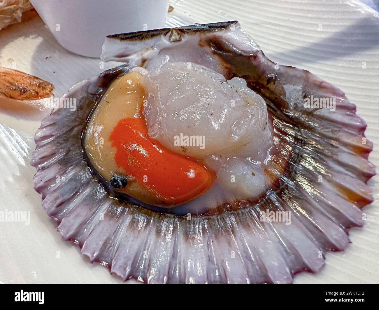 Specialità di pesce servite in un vero ristorante ad Alicante, Spagna Foto Stock