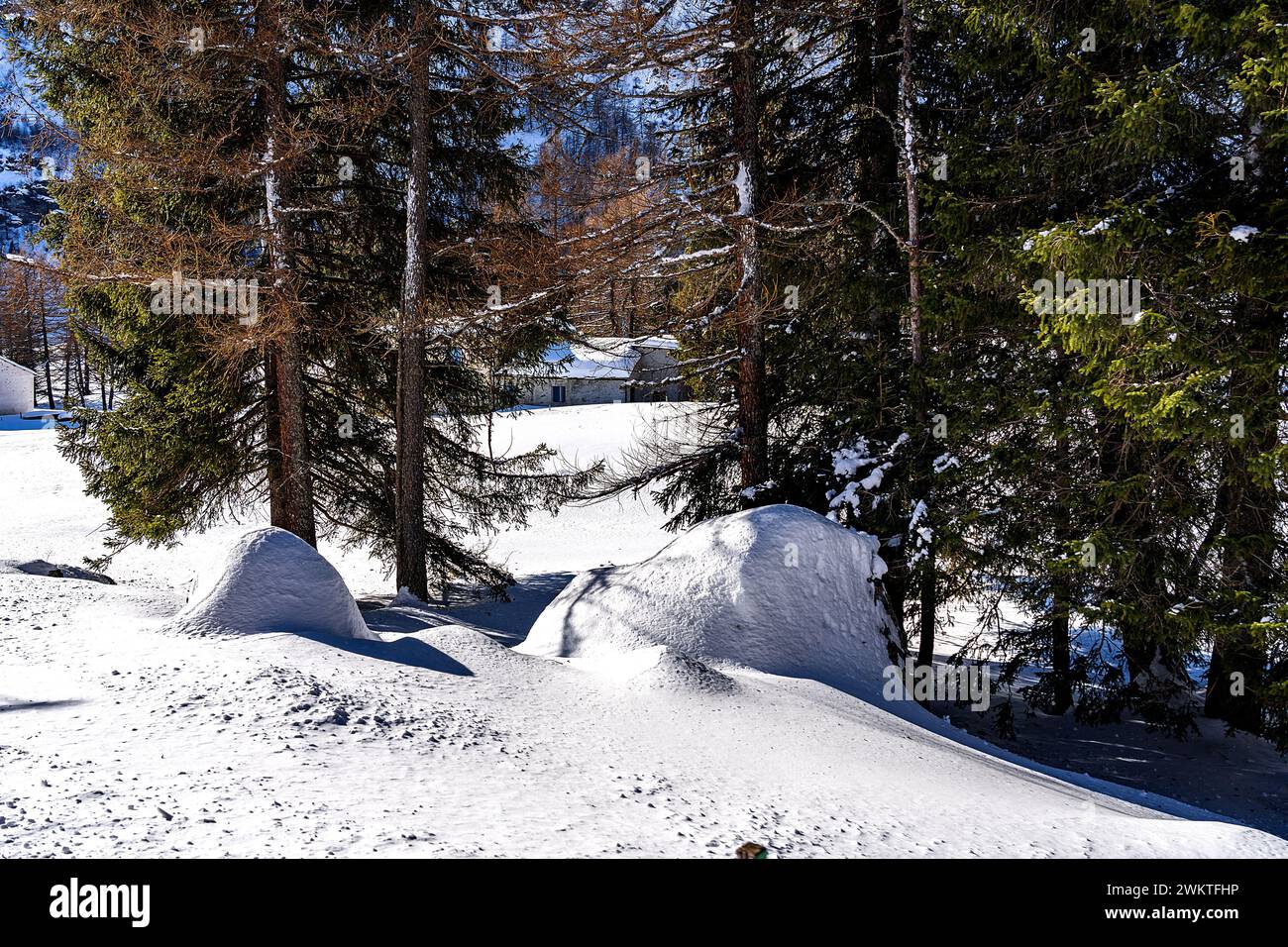 Paesaggio fiabesco alpino con abeti innevati e cottage con tetto innevato sullo sfondo ai piedi delle montagne su un bellissimo soleggiato d Foto Stock