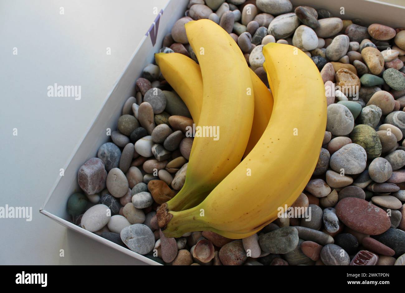 Mazzo di banane fresche su lisce pietre marine nel vassoio di cartone Foto Stock
