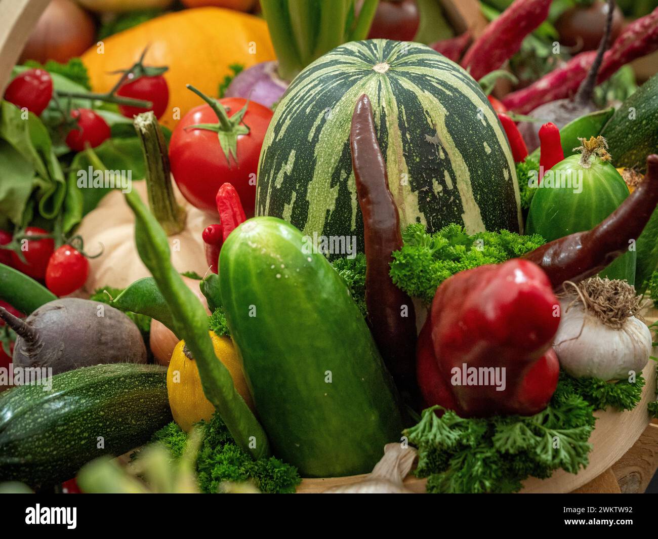 Verdure raccolte in esposizione a un concorso di verdure di un'esposizione nazionale Foto Stock