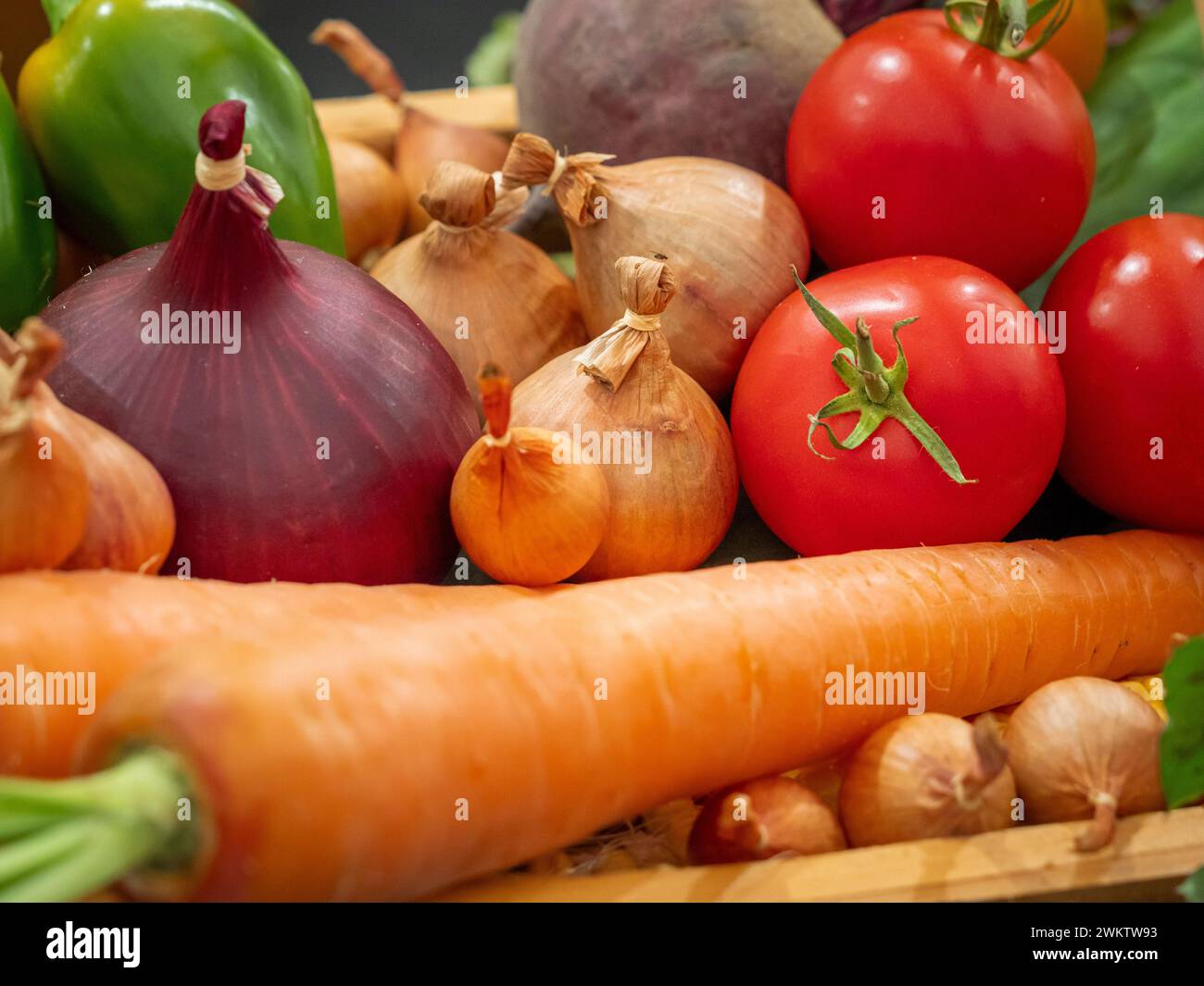 Cipolle rosse e marroni con collo legate, esposte con pomodori e carote in una gara di verdure in una mostra campestre. Foto Stock