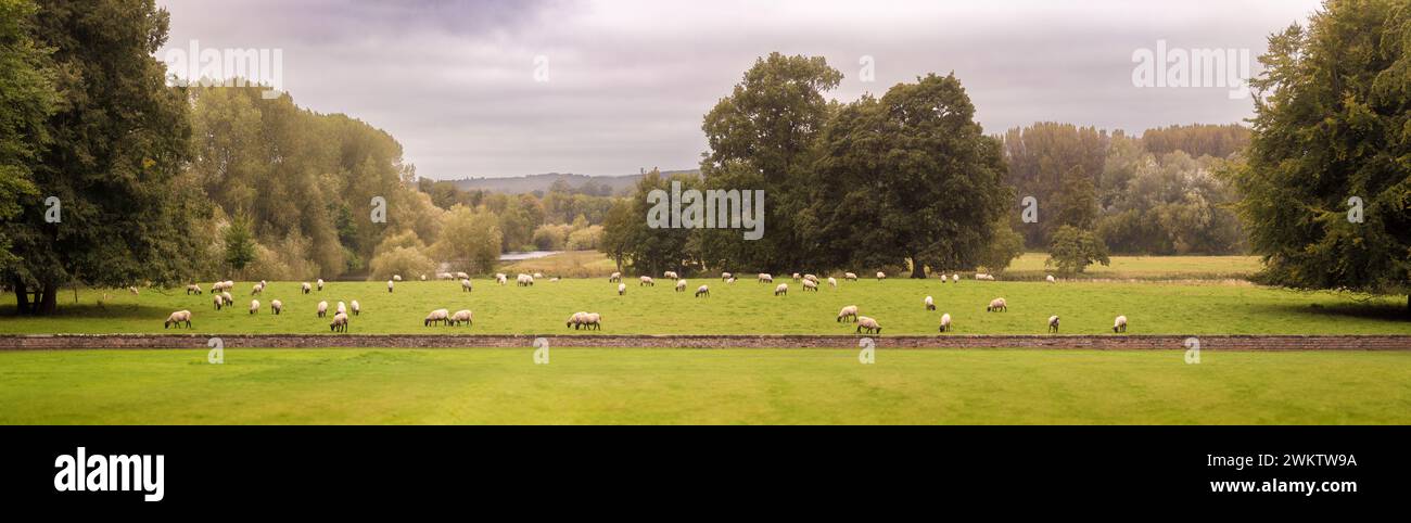 Vista panoramica dai prati di Newby Hall che guardano a ovest verso ha-ha e il parco oltre. North Yorkshire. REGNO UNITO Foto Stock