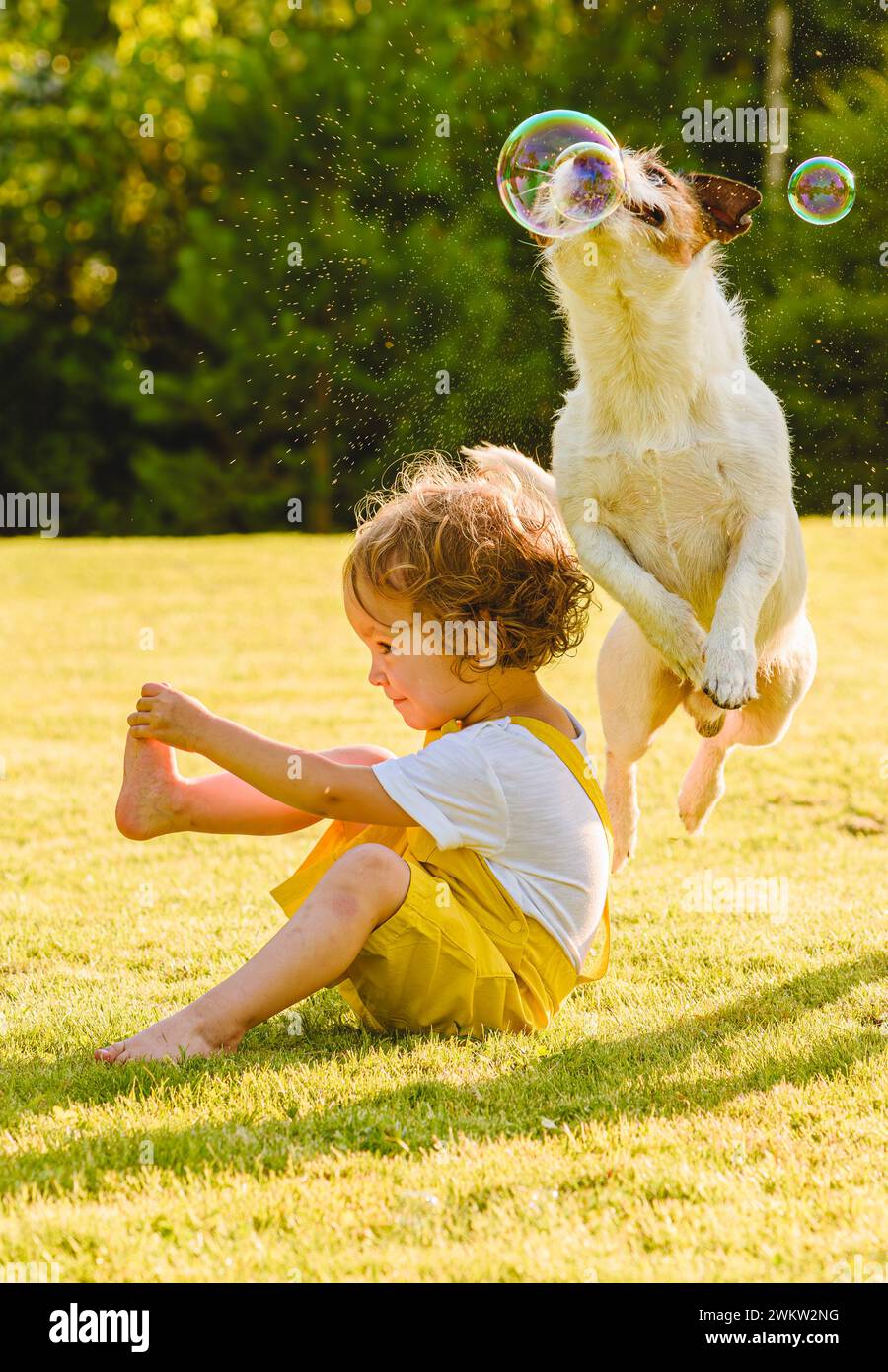Nelle calde giornate estive il bambino e il cane da compagnia giocano con le bolle di sapone all'aperto Foto Stock