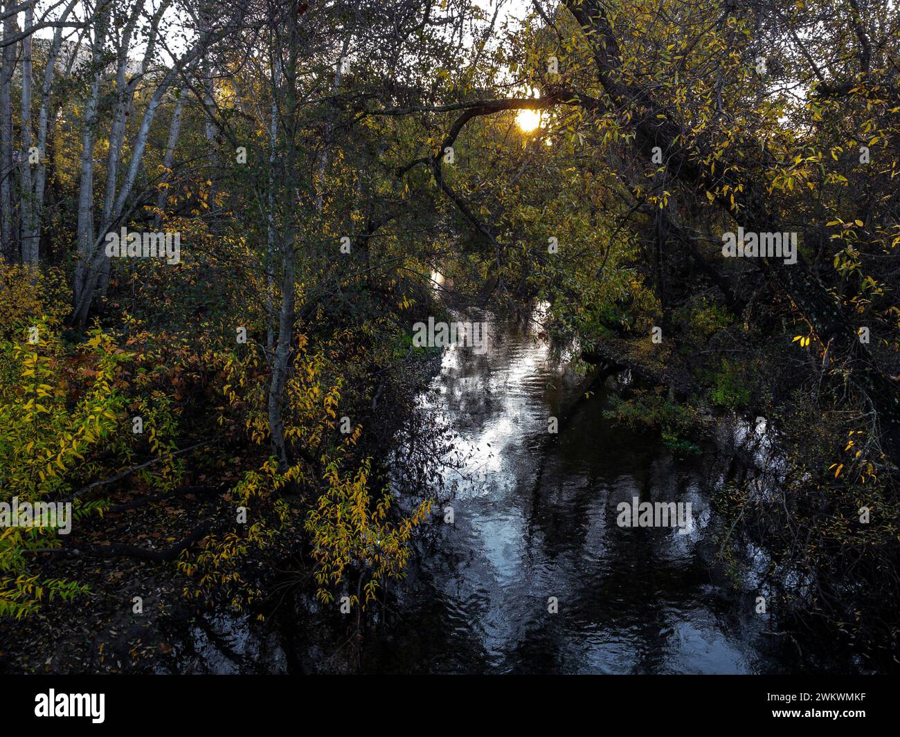 Carmel River al Garland Ranch Regional Park, Carmel Valley, California Foto Stock