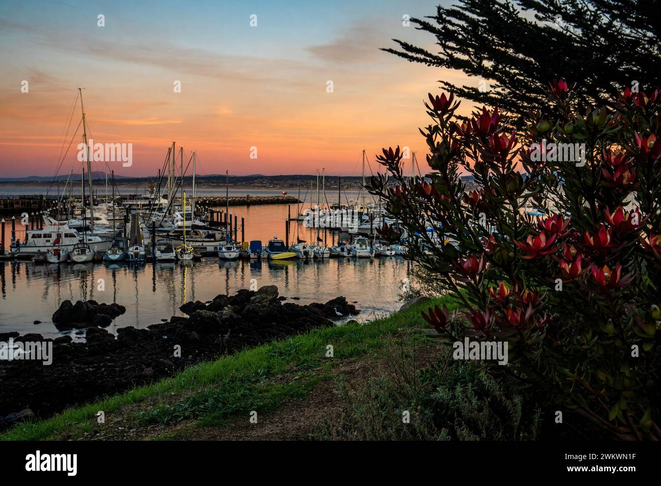 I colori pastello del tramonto riempiono il cielo al Breakwater Cove di Monterey lungo il percorso ricreativo della baia di Monterey Foto Stock