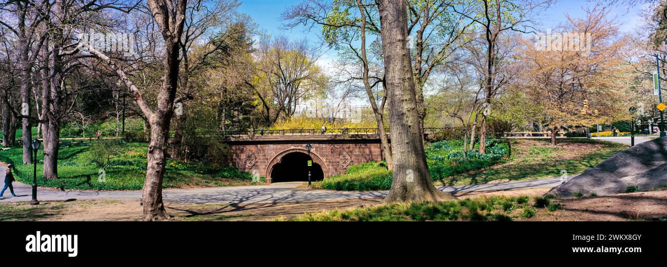 Ponte pedonale, Central Park, New York, New York, Stati Uniti Foto Stock