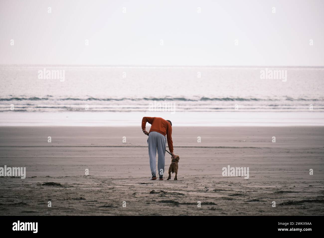 Uomo e cane sulla spiaggia, portare Dog per camminare, lasciare Dog Off the Leash Foto Stock