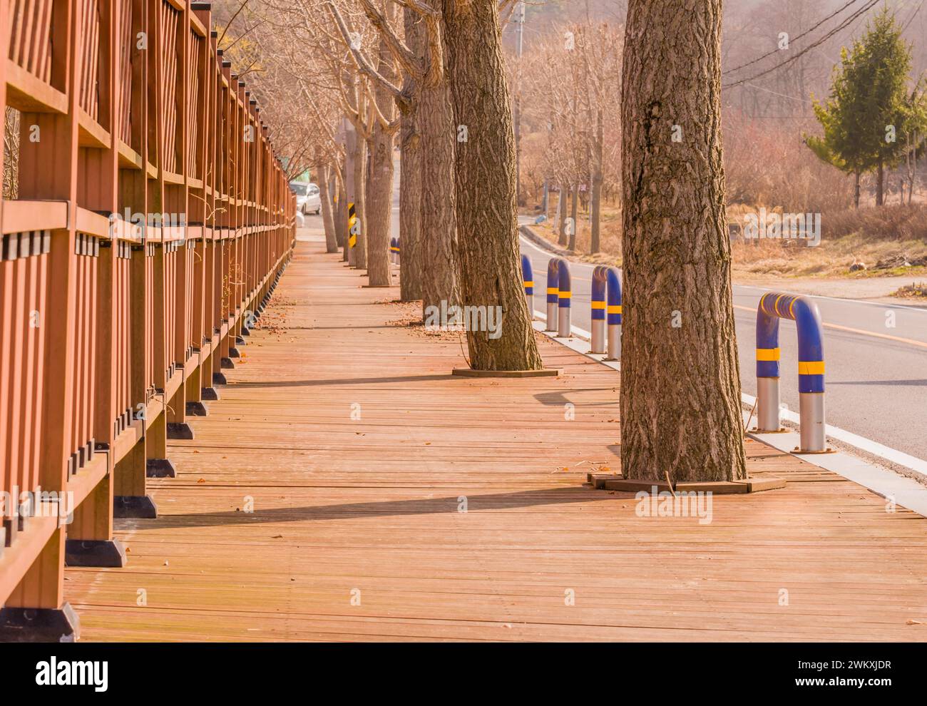 Passerella pedonale in legno con recinzione rossa in legno da un lato e alberi dall'altro vicino a una strada rurale della Corea del Sud Foto Stock