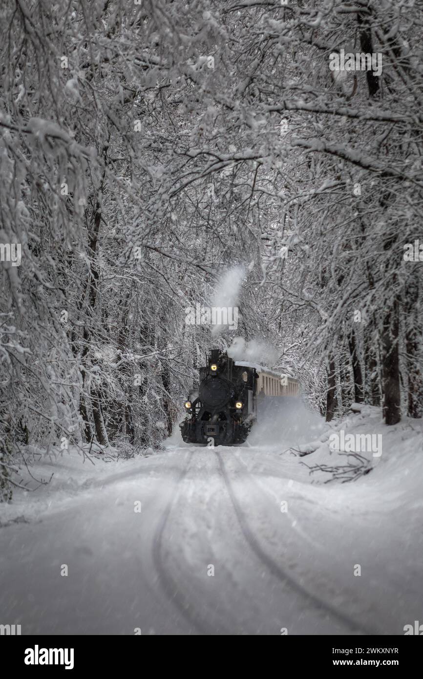 Budapest, Ungheria - splendida scena forestale invernale con nevicate, foresta innevata e vecchio motore nostalgico (treno per bambini) sulla pista di Buda Foto Stock