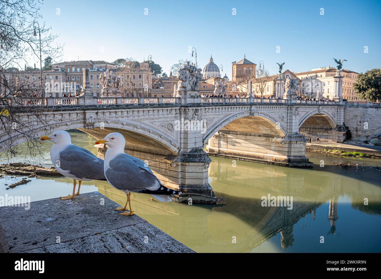 Vista ravvicinata di due gabbiani sullo sfondo mozzafiato di Roma, Italia. L'iconica St. Angelo Bridge si estende lungo il tranquillo fiume, guidando l'occhio Foto Stock