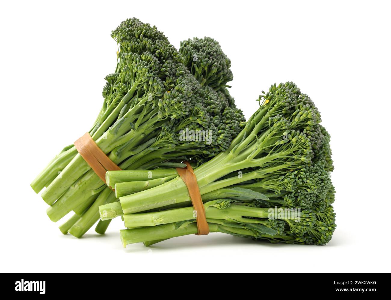 Broccolini baby broccoli su sfondo bianco Foto Stock
