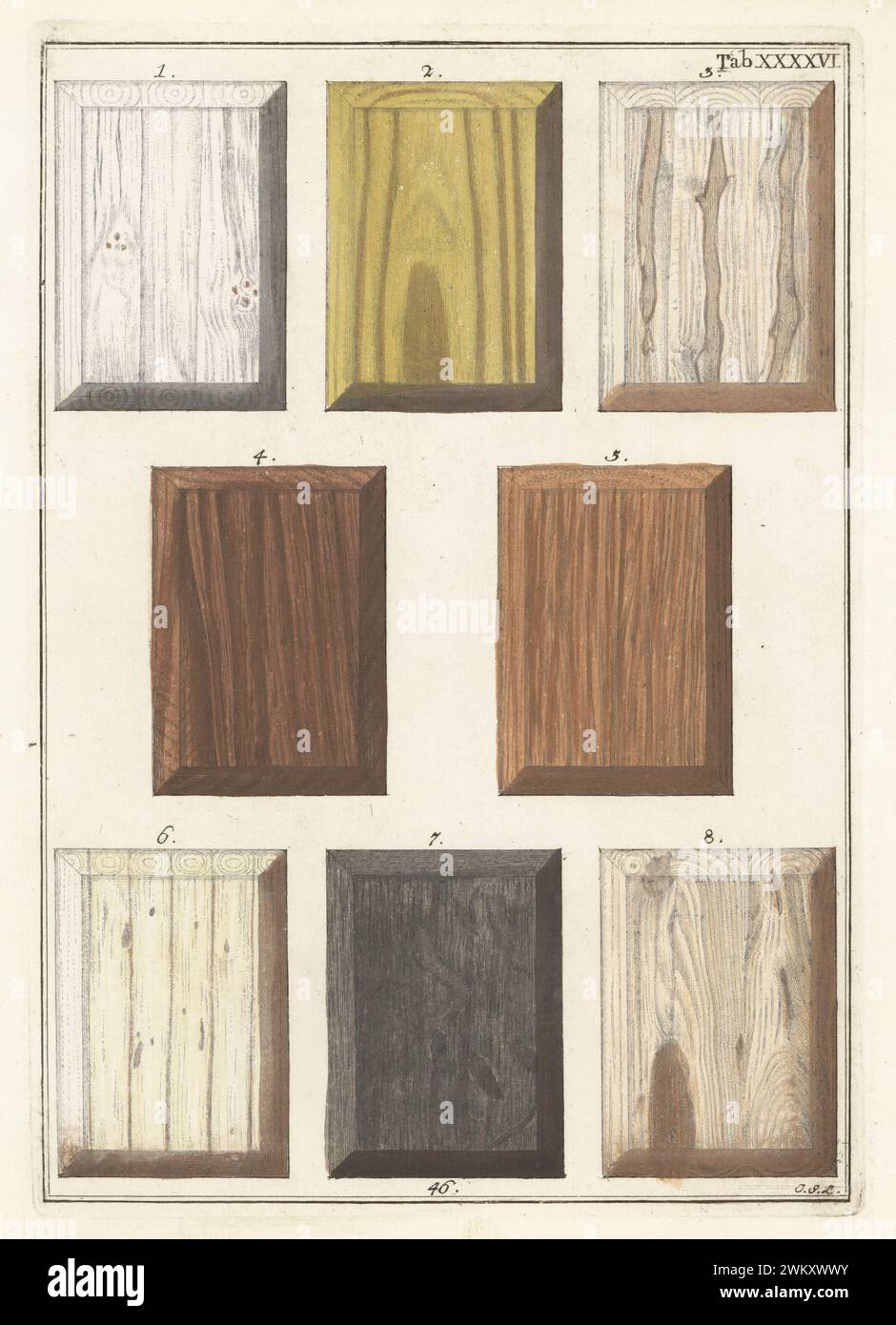 Jimsonweed o Datura stramonium 1, North America plenen Wood 2, Indian laurel 3, rose-wood of the East 4, karare Wood 5, Wild Mallow 6, quercia 7 e fragole 8. Incisione a mano su lastre di rame di Jan Christian Sepp da Icones Lignorum exoticorum et nostratium di Martinus Houttuyn: Wood Science, Rappresentations of Native and Exotic Woods, J.C. Sepp, Amsterdam, Olanda, 1773. Foto Stock