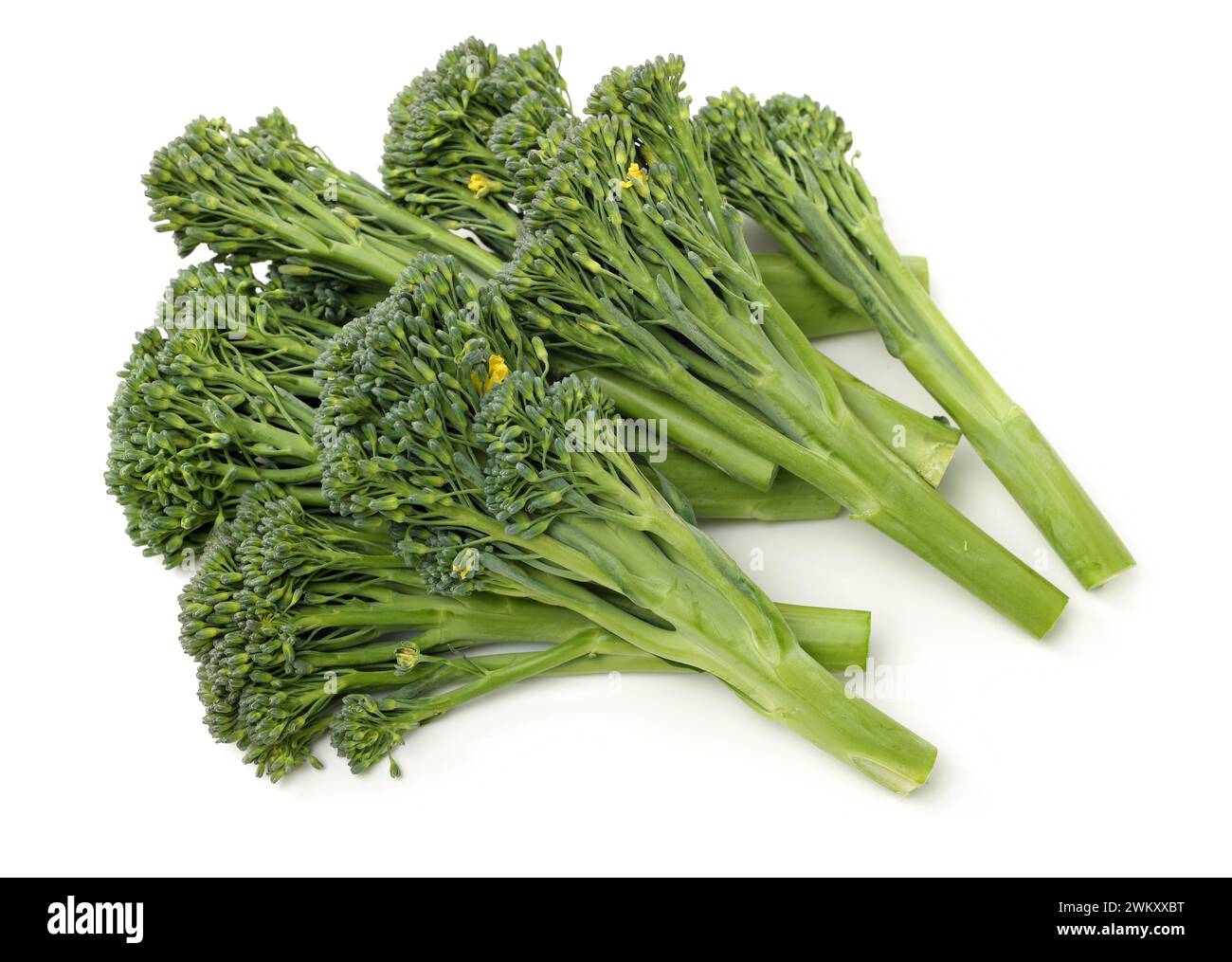 Broccolini baby broccoli su sfondo bianco Foto Stock
