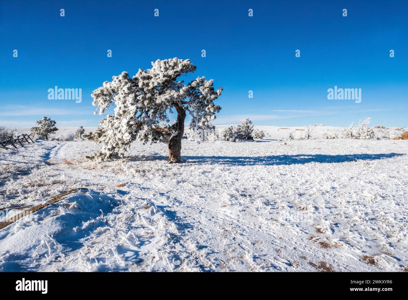 Giornata invernale all'area ricreativa di Vedauwoo vicino a Cheyenne, Wyoming, Stati Uniti Foto Stock