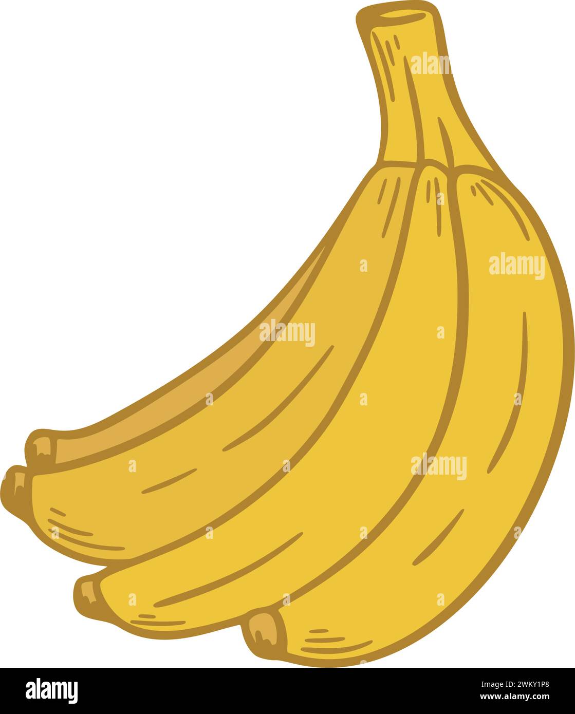 Mazzo di banane gialle mature, clip art. Frutti tropicali isolati su sfondo bianco. Cibo biologico sano, grafica vettoriale Illustrazione Vettoriale