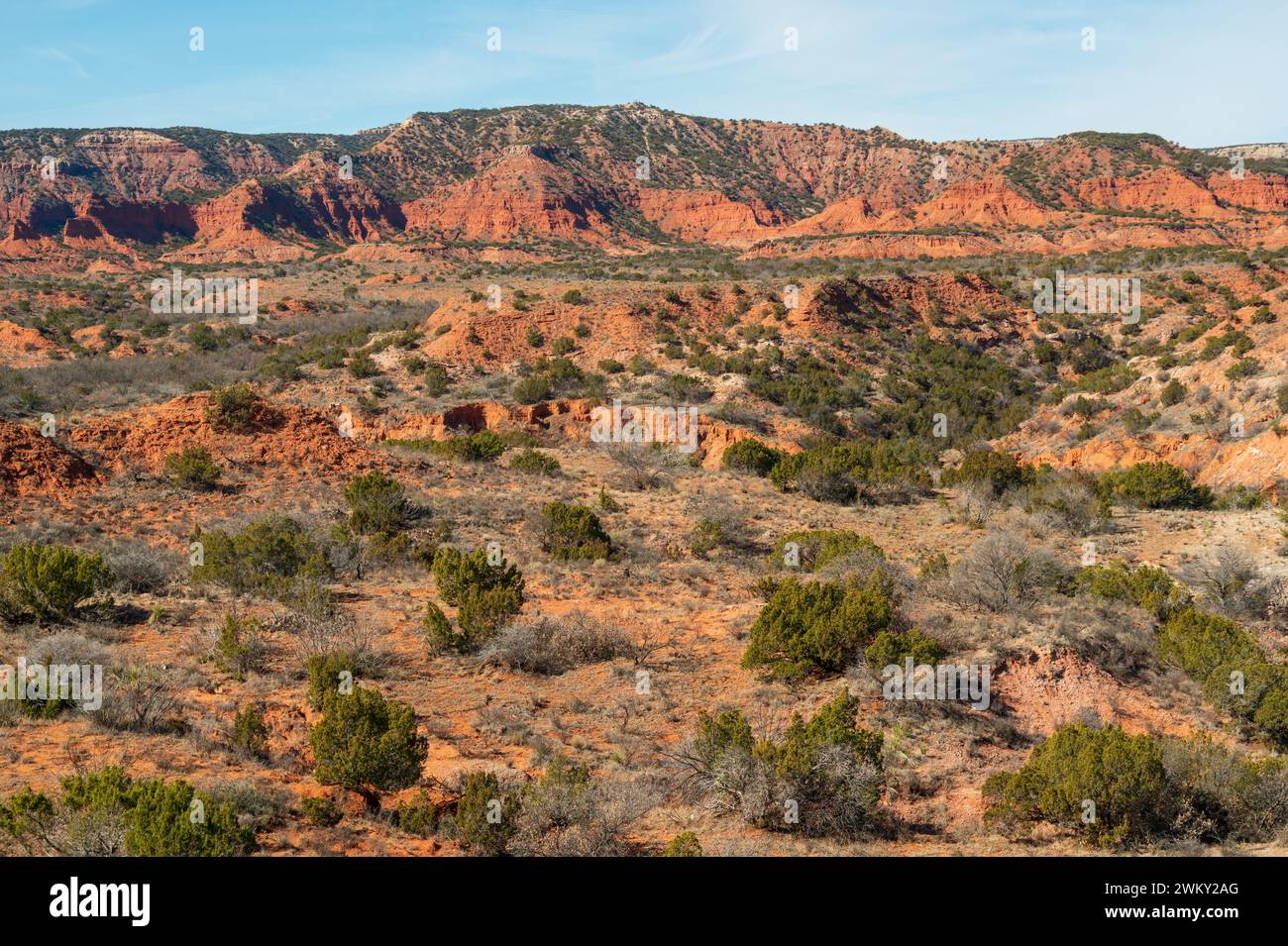 Caprock Canyons State Park, sul margine orientale del Llano Estacado nella contea di Briscoe, Texas, Stati Uniti Foto Stock