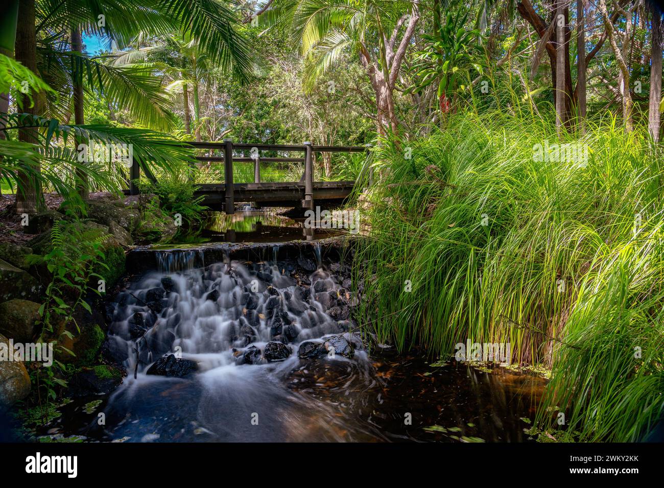 Piccola cascata nei giardini botanici di Gold Coast, Queensland, Australia Foto Stock