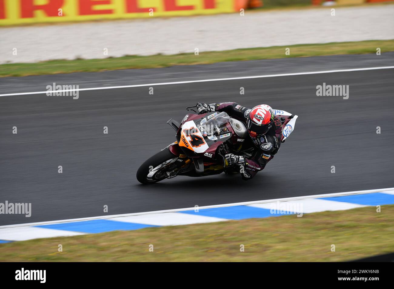 MELBOURNE, AUSTRALIA. 23 febbraio 2024. Sam Lowes(14) della Gran Bretagna in sella alla Ducati Panigale V4R per il team ELF Marc VDS Racing al round di apertura del World Superbike Championship 2024 sul circuito di Phillip Island. Accreditare Karl Phillipson/Alamy Live News Foto Stock