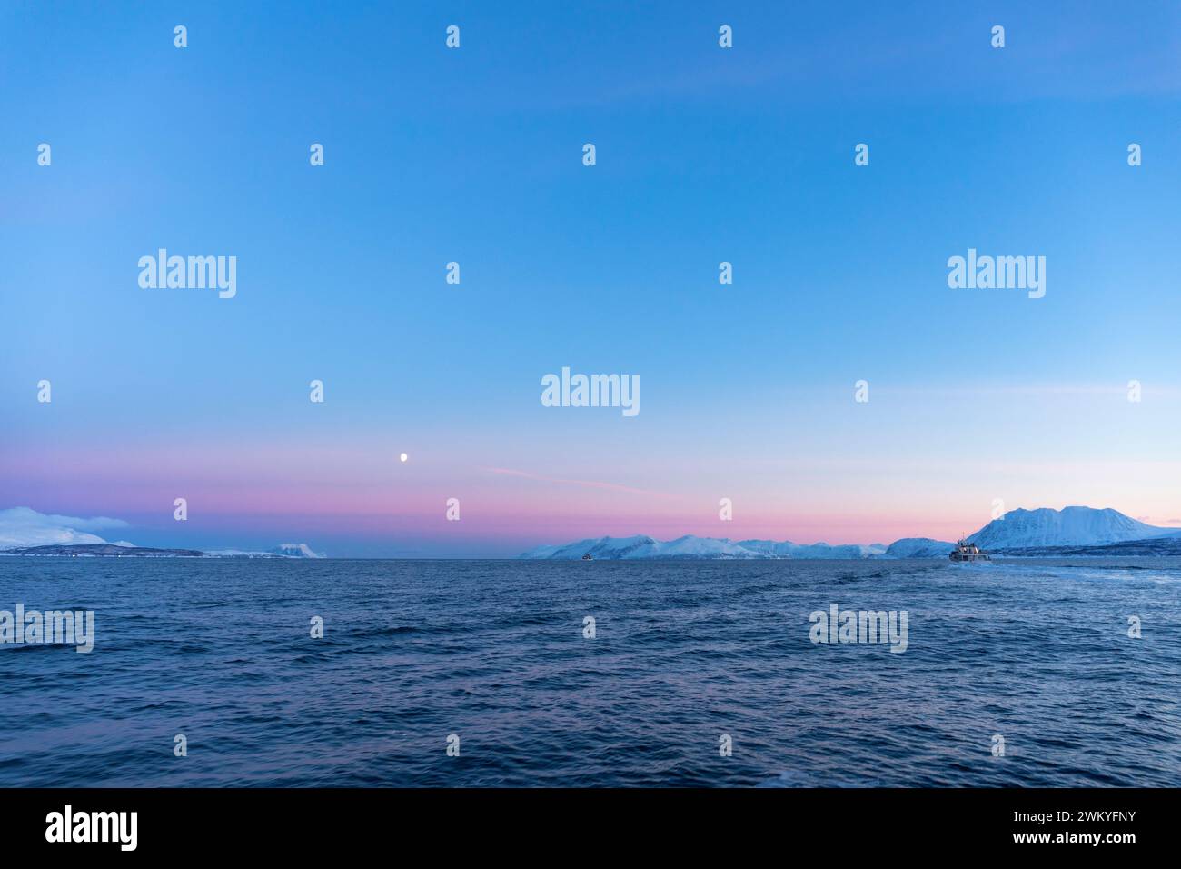 Europa, Norvegia, Tromso, Troms County, Pleasure Boat per l'avvistamento di balene passando per il paesaggio costiero vicino alla penisola di Lyngen in inverno Foto Stock