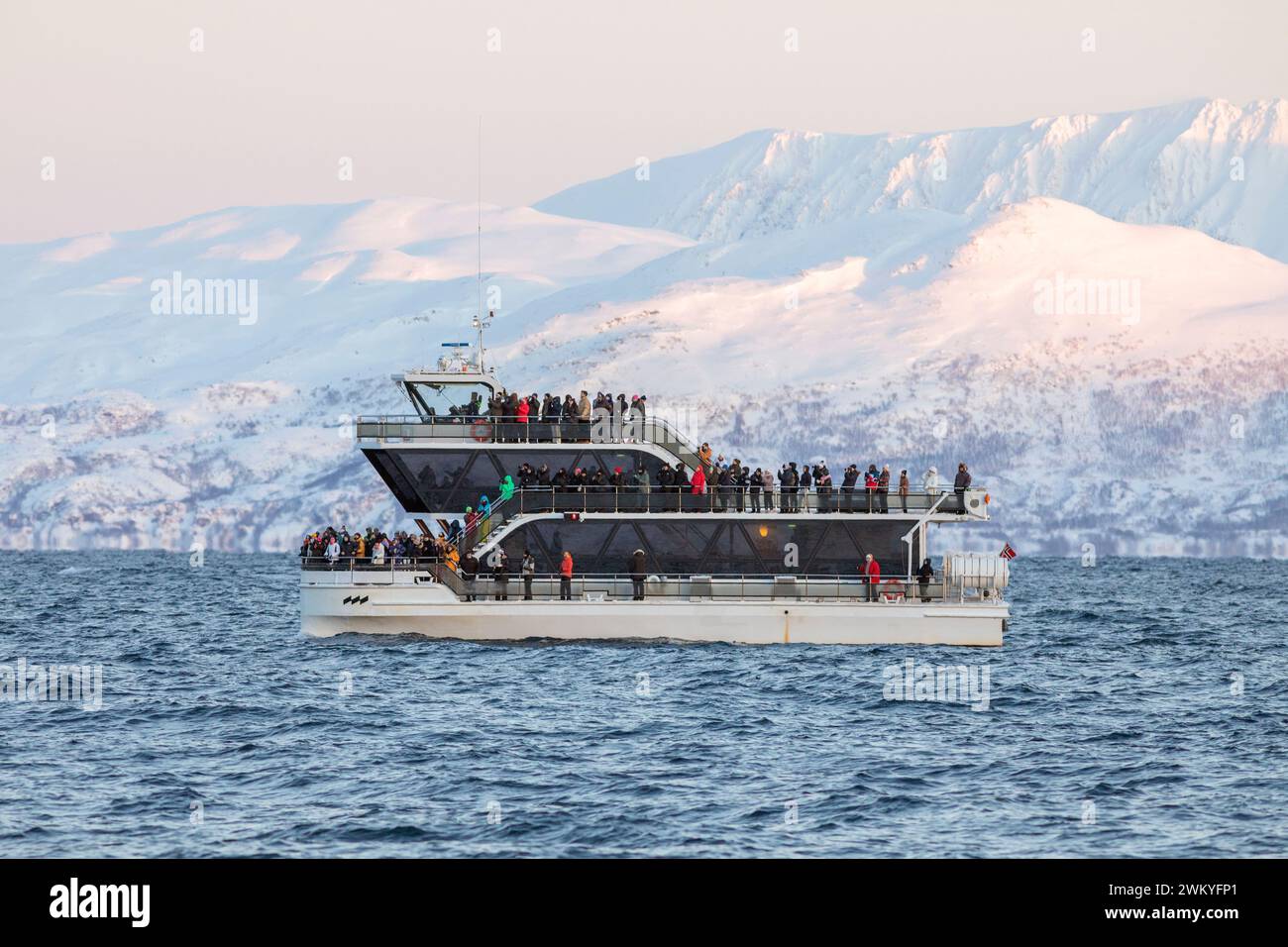 Europa, Norvegia, contea di Troms, barca per l'avvistamento delle balene ormeggiata vicino alla costa di Skjervøy Foto Stock