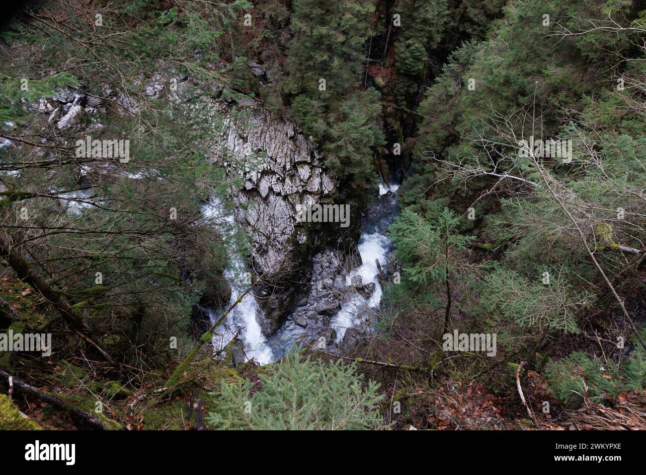 Giessbach creek in inverno senza neve Foto Stock