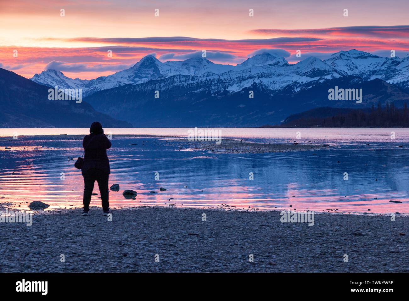 Sagoma di una persona in piedi sulla riva del lago Thun con Eiger Mönch e Jungfrau all'alba invernale Foto Stock