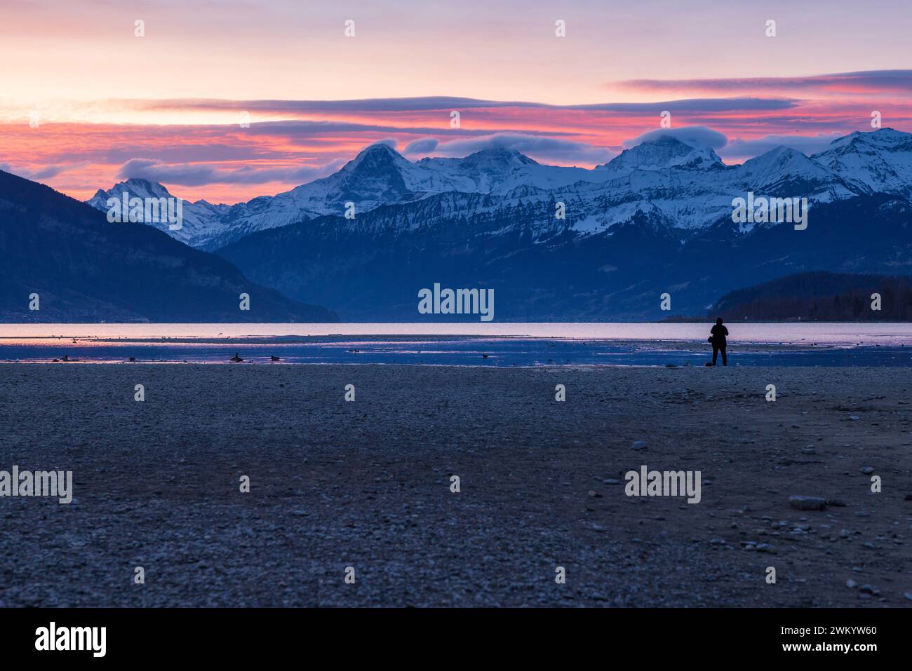 Sonnenaufgang am Thunersee mit Eiger Mönch und Jungfrau Foto Stock