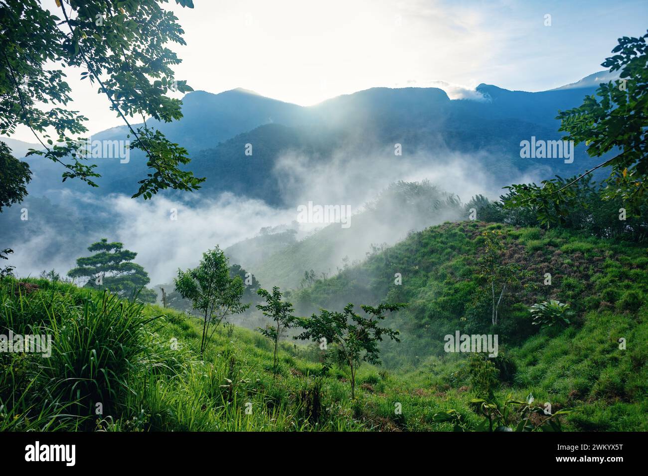 Paesaggio nebbioso e nebbioso della giungla. Dura escursione verso le antiche rovine nascoste della civiltà Tayrona Ciudad Perdida nella giungla colombiana. Santa Marta, Sierra Nev Foto Stock