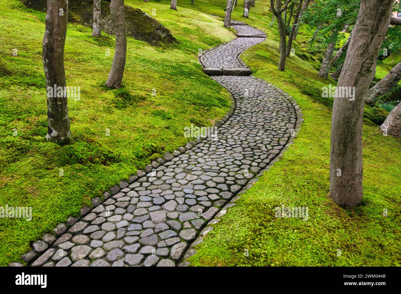 Moss Garden, Hakone Museum of Art, Hakone, Kanagawa, Giappone Foto Stock