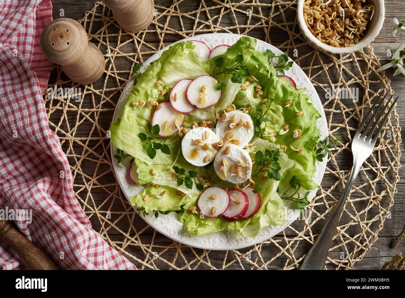 Insalata di verdure con formaggio di capra, germogli di fieno greco e giovani piante commestibili selvatiche raccolte in primavera - alghe di pollo e paglia da letto Foto Stock