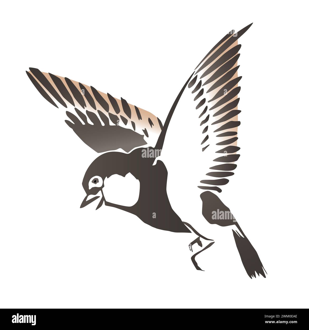 Piccolo uccello in avvicinamento, nello stile della pittura ad acquerello giapponese con ampi tratti di pennello. Uccello con le ali allungate, che si tiene in aria. Foto Stock