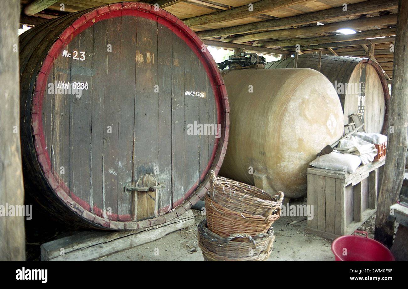 Tifesti, contea di Vrancea, Romania, 2000. Grandi botti per conservare il vino sotto un capannone di un enologo locale. Foto Stock
